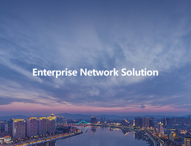 Enterprise Network Solution